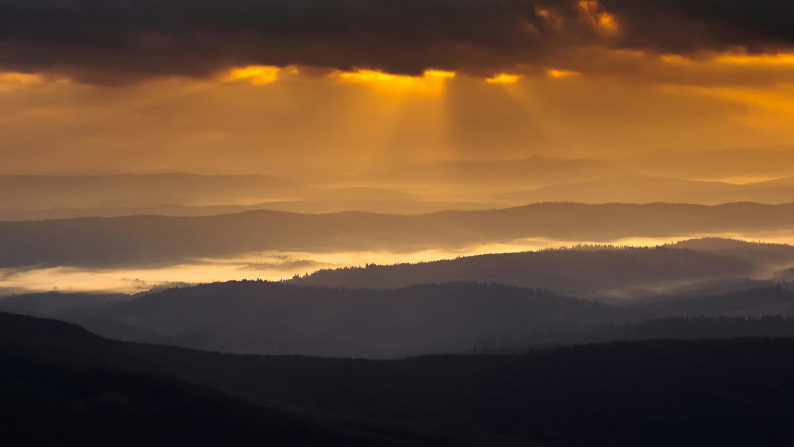 stillness-across-miles